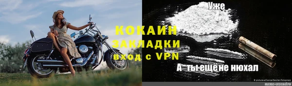 ГАЛЛЮЦИНОГЕННЫЕ ГРИБЫ Заволжье