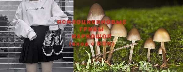 молекула духа Краснослободск