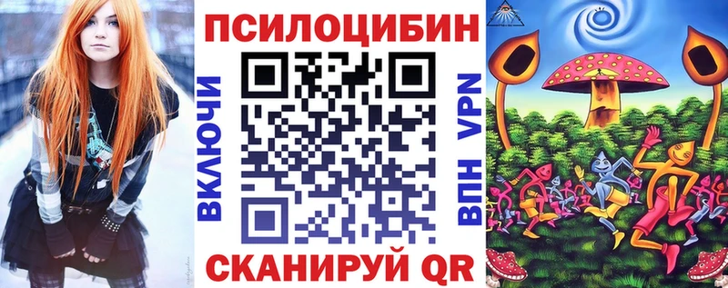 цена Комсомольск Псилоцибиновые грибы GOLDEN TEACHER